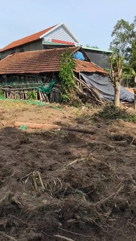 Đất nền Mỹ Tài, Phù Mỹ 500m² giá chỉ 300 triệu - Cơ hội đầu tư tuyệt vời!