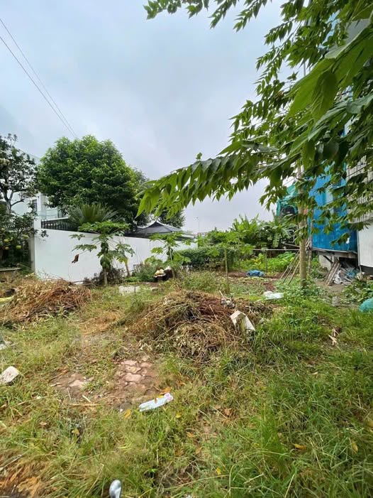 FrontHouse tại Trung tâm TT Vĩnh Trụ, Lý Nhân 104.8m² - Kinh doanh sầm uất!