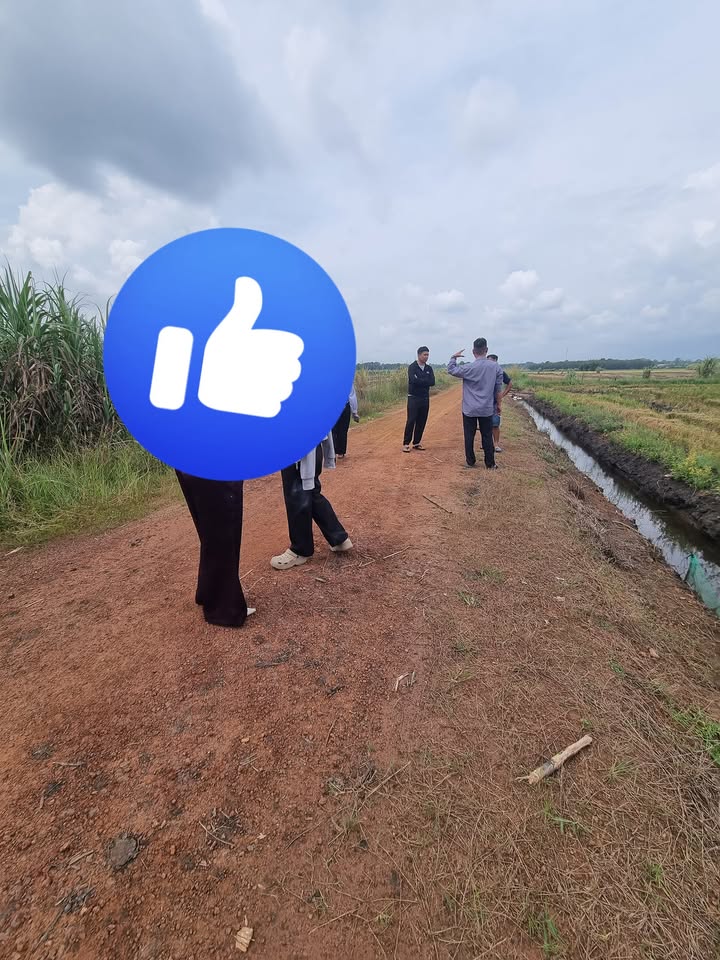 Đất nền Mỏ Công, Tân Biên 1000m² giá 270 triệu - Đường ô tô vào thoải mái!