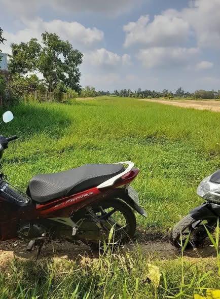 Đất nền Mỹ Thạnh, Ba Tri 2100m² giá 399 triệu - Đầu tư sinh lời ngay!