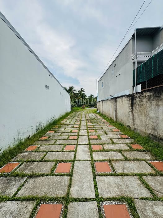 Nhà vườn Trương Định, An Bình 845.1m² giá 4 tỷ - Hướng Tây Bắc, ô tô vào tận nơi!