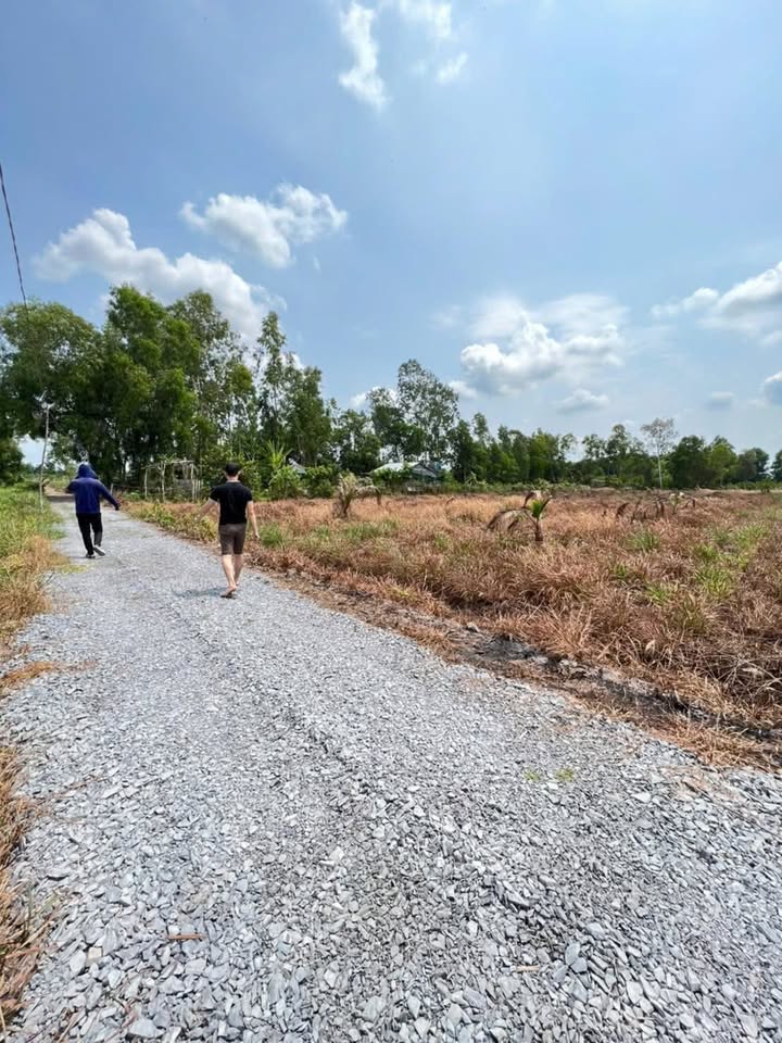 Đất vườn 1200m² tại ấp 6 Bình Đức, Bến Lức - Giá chỉ 790 triệu, đầu tư sinh lời!