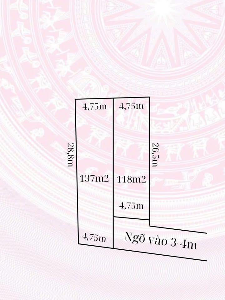 Đất đẹp bán gấp tại Làng Côn, Đông Phương, Kiến Thụy 118m² giá 1.65 tỷ - Đầu tư sinh lời hấp dẫn!