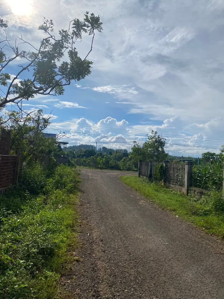 Lô đất thổ cư 150m² tại thôn An Cư, Ea Kar - Giá chỉ 3xx triệu, cơ hội đầu tư tuyệt vời!