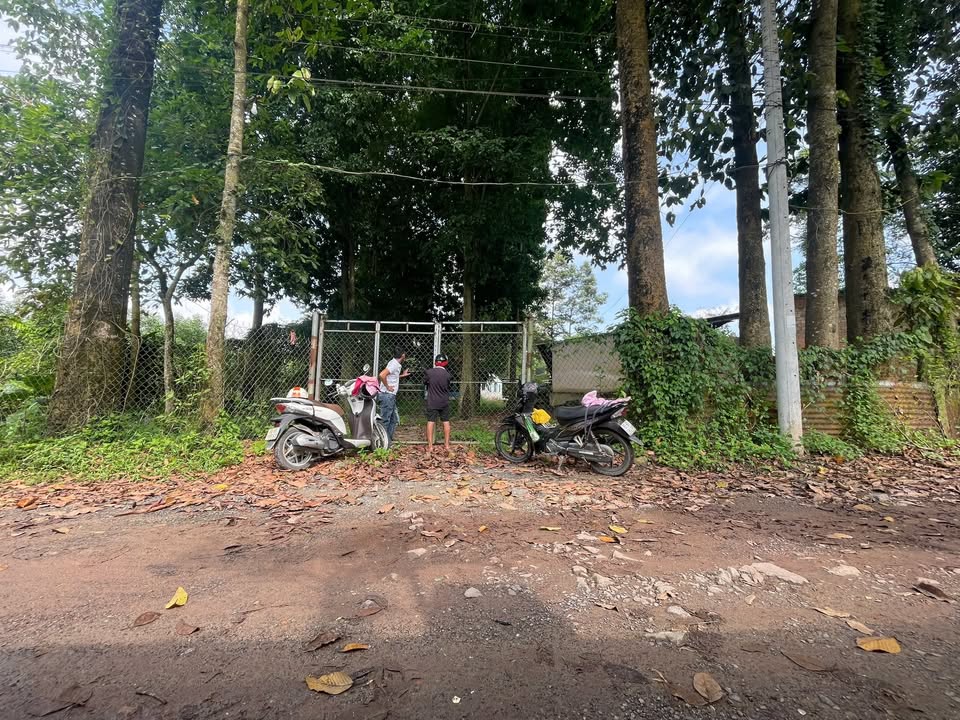 Nhà cho thuê 1440m² tại Quảng Tiến, Trảng Bom - Chỉ 2 triệu/tháng!