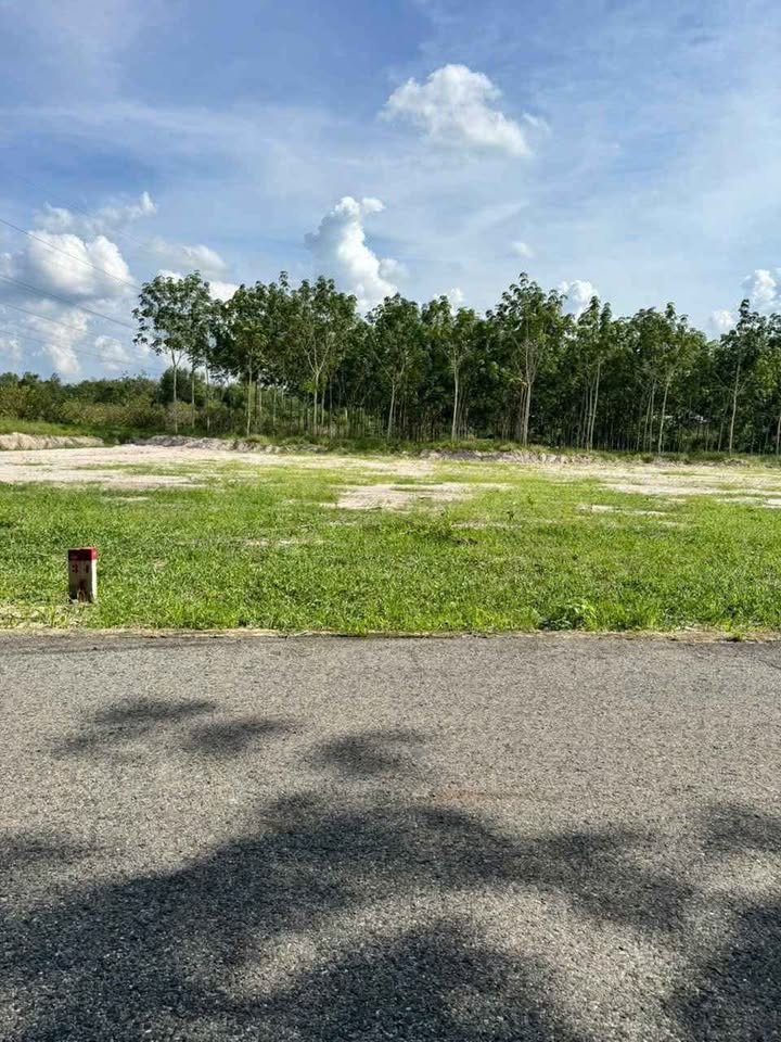 Đất nền Tân Tiến Đồng Phú 1000m² giá chỉ 299 triệu - Đầu tư sinh lời ngay!