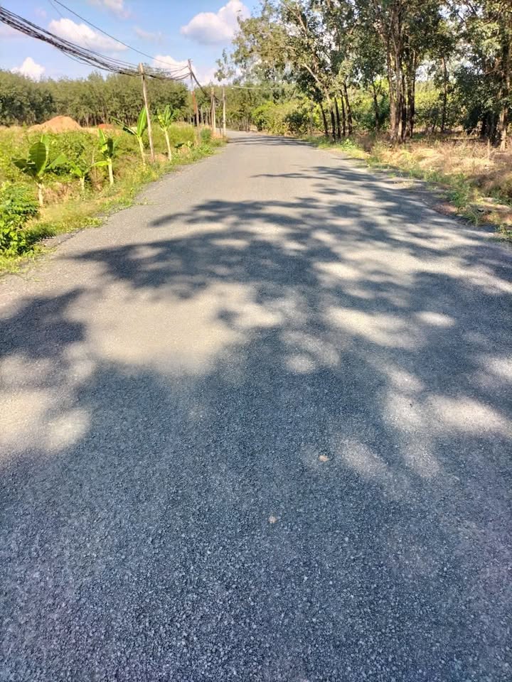 Đất nền Lộc Khánh 360m² giá 200 triệu - Mặt tiền nhựa cực đẹp!