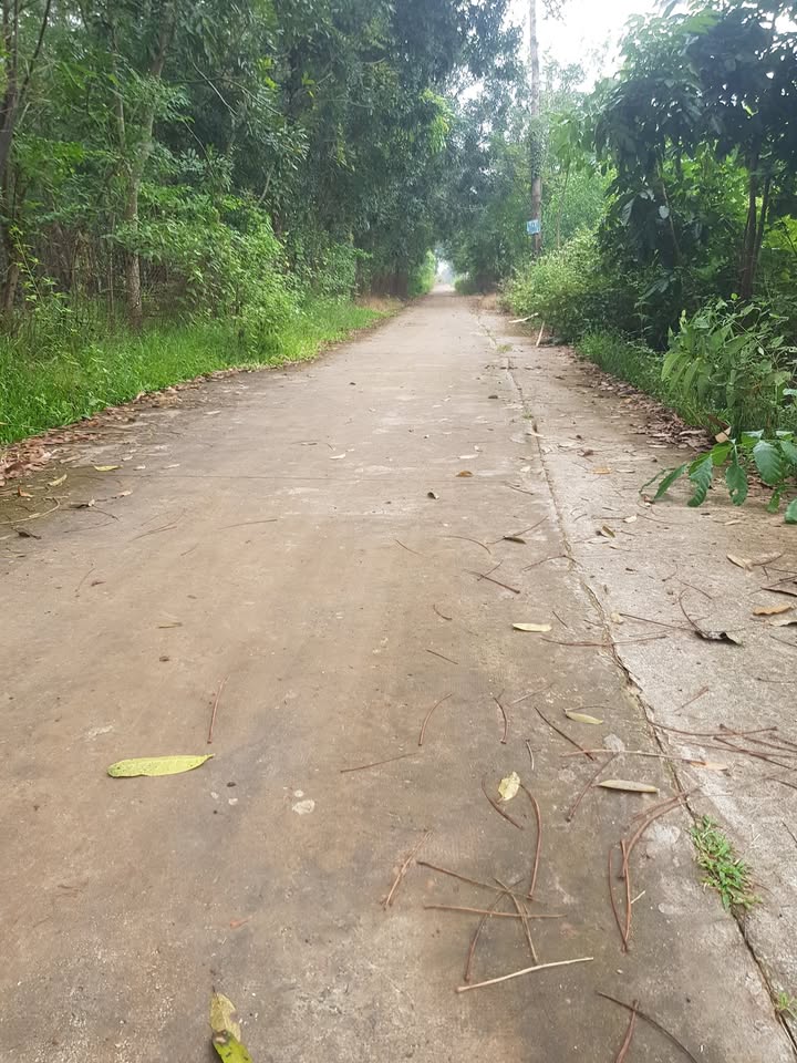 Đất nền Lộc Hưng 495m² giá 400 triệu - Cơ hội đầu tư hấp dẫn!