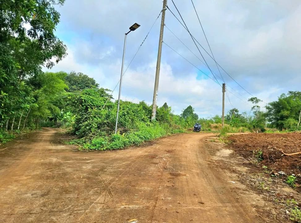 Đất nền Tân Lợi Hớn Quản 1100m² giá 200 triệu - Đầu tư sinh lời cao!