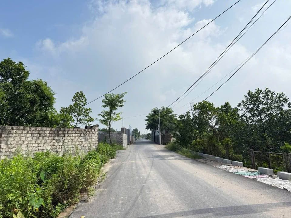 Đất vườn chính chủ tại chợ Thầy Sài Sơn Quốc Oai 416m² - Giá siêu đầu tư!