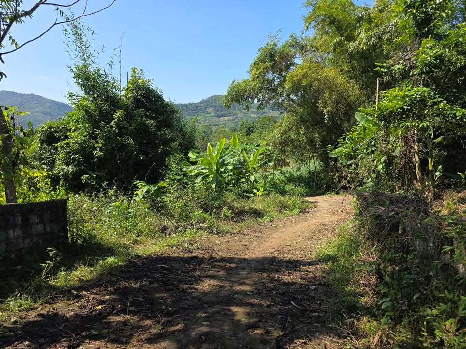 Lô đất Cao Phong, Hòa Bình 2000m² chỉ 1.1 tỷ - Cơ hội đầu tư tuyệt vời!