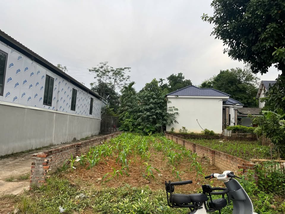 Đất nền Cẩm Khê Phú Thọ 111m² giá 1.6 tỷ - Đầu tư sinh lời ngay!