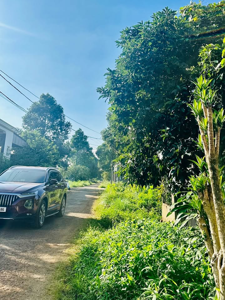 Đất nền Lê Quý Đôn, Ea Kar 250m² giá 1.7 tỷ - Đầu tư sinh lời ngay!