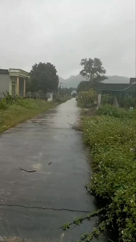 Đất nền Yên Sơn, Tam Điệp, Ninh Bình 300m² - Đường thông tứ phía, giá thỏa thuận!