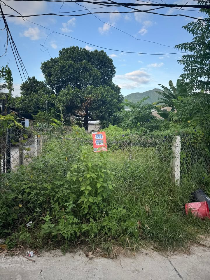 Đất nền lô góc Trần Đăng Ninh, Nha Trang 96m² giá 1.69 tỷ - Cơ hội đầu tư tuyệt vời!