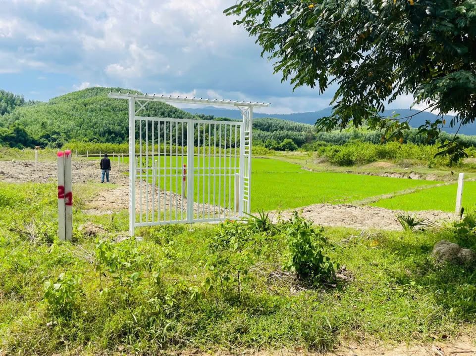 Đất nền Khánh Hiệp, Khánh Vĩnh 600m² giá chỉ 149 triệu - Đường ô tô tận nơi!