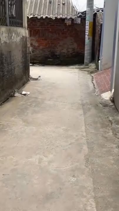 Đất Đông Thái, Vân Tảo, Thường Tín 44m² giá 1.5 tỷ - Cơ hội đầu tư hấp dẫn!