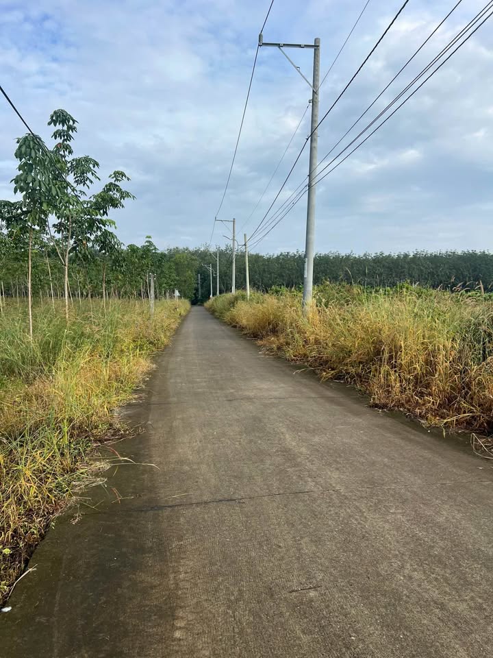 Đất thổ cư Long Nguyên 155m² giá chỉ 600 triệu - Cơ hội đầu tư tuyệt vời!