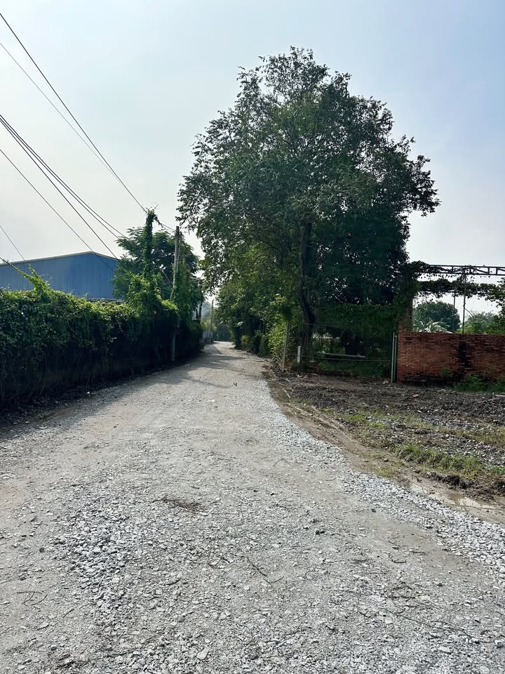 Đất nền Tân Khánh, Tân Uyên 91m² giá 1.7 tỷ - Đầu tư sinh lời ngay!