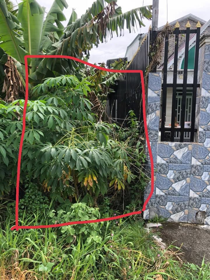 Đất mặt tiền sông Trà Vinh 332m² giá 1 tỷ - Bán gấp chính chủ!