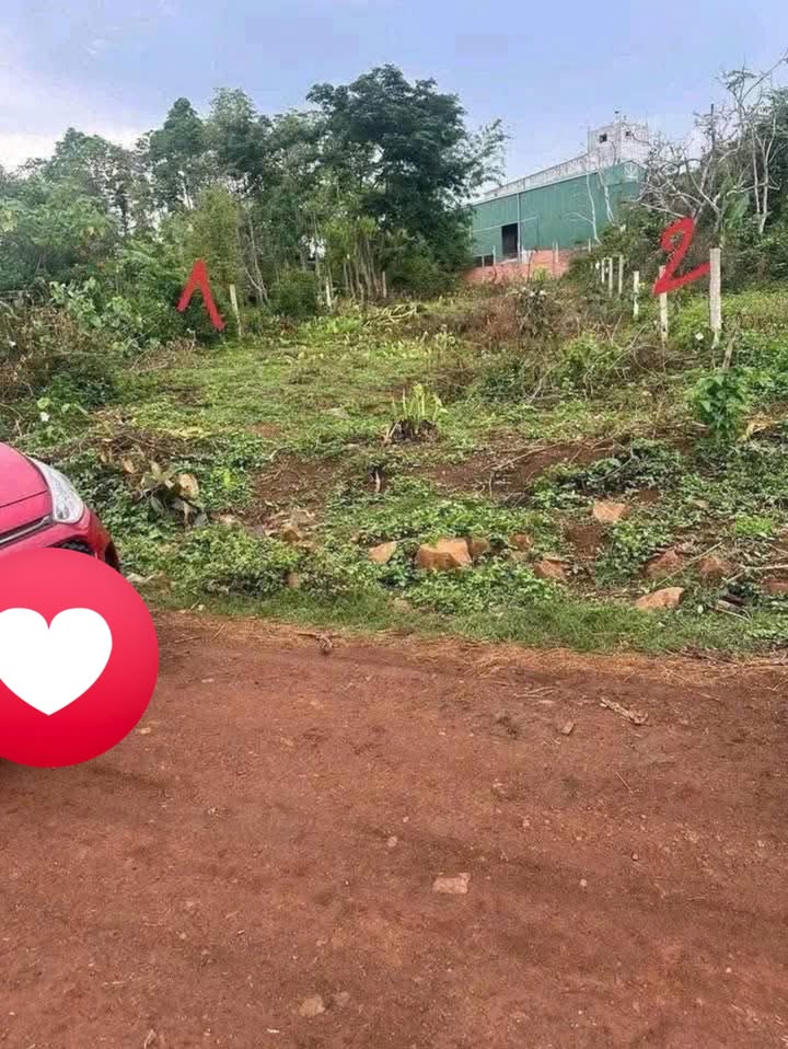 Đất nền Ea Phê, Krông Pắc 630m² giá chỉ 730 triệu - Cơ hội đầu tư tuyệt vời!