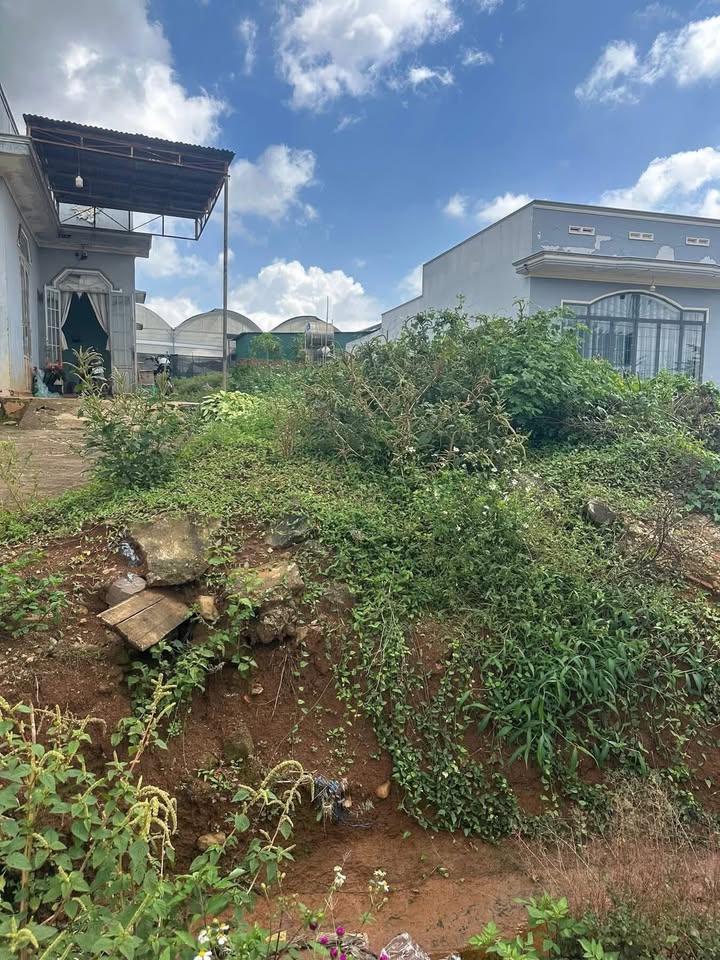 Đất thổ cư xã Quảng Lập 100m² giá 1.2 tỷ - Đầu tư sinh lời hấp dẫn!