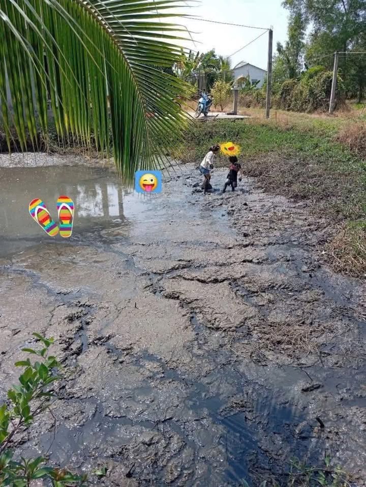 Đất vườn Tân Bình, Tân Trụ 594m² giá 340 triệu - Sổ đỏ chính chủ