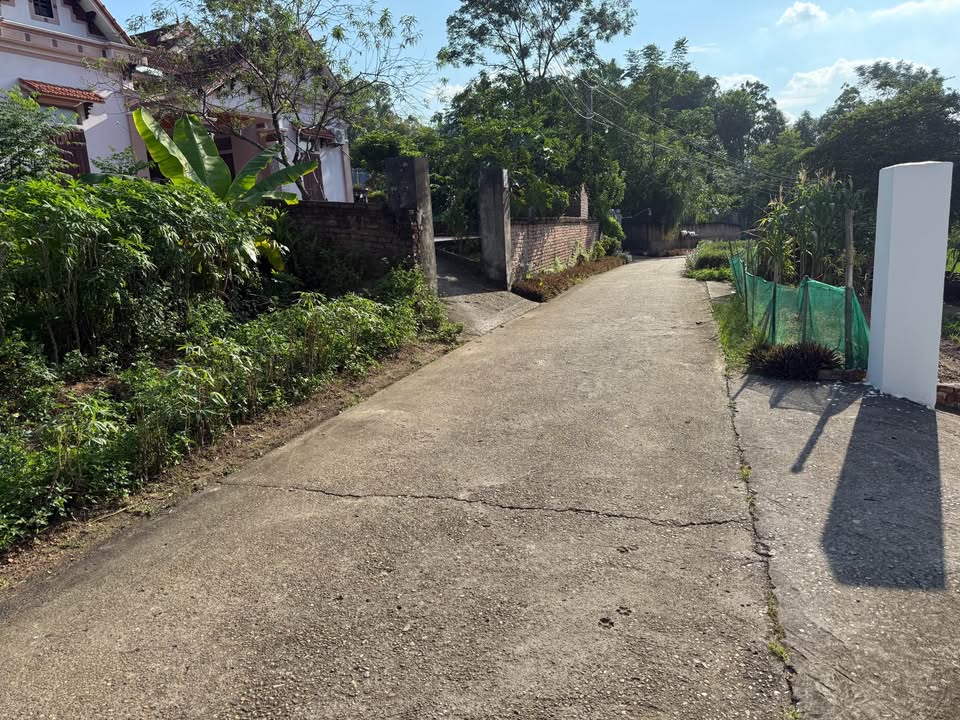 Đất thổ cư 250m² tại Thanh Đình, Việt Trì - Giá chỉ 1.75 tỷ, thương lượng nhẹ!