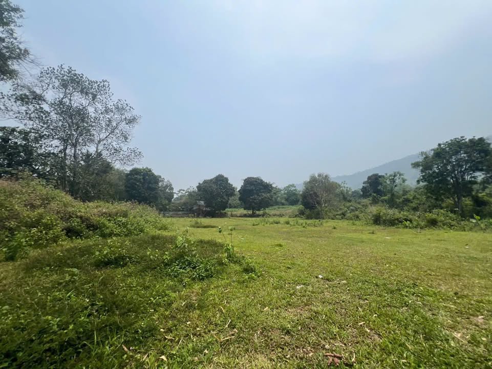 Đất thổ cư 2250m² mặt tiền 40m tại Cư Yên - Giá tốt, đầu tư sinh lời!