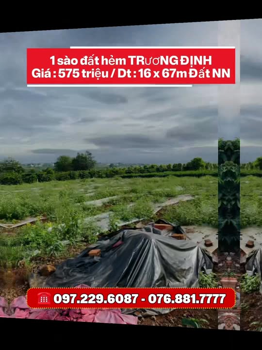 Lô đất nông nghiệp Trương Định Pleiku 1600m² giá 500 triệu - Ô tô vào tận nơi!
