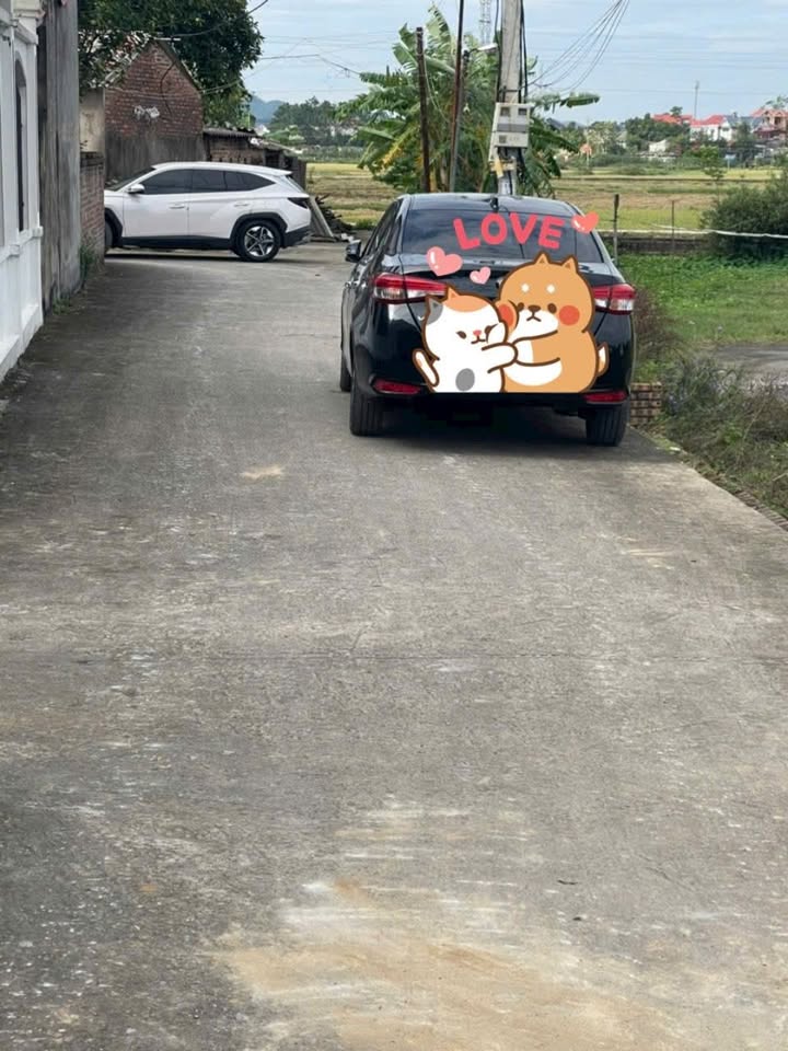 Đất nền Xuân Phú Bắc Giang 100m² giá 950 triệu - Đầu tư sinh lời hấp dẫn!