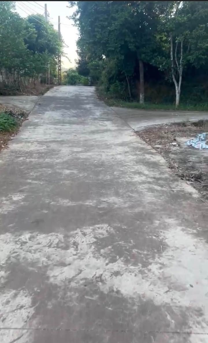 Đất vườn Mỹ An Lục Ngạn 1166m² giá 1 tỷ - Cơ hội đầu tư tuyệt vời!