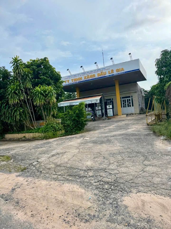 Đất thổ cư 200m² Hàm Liêm giá 750 triệu - Cơ hội đầu tư tuyệt vời!