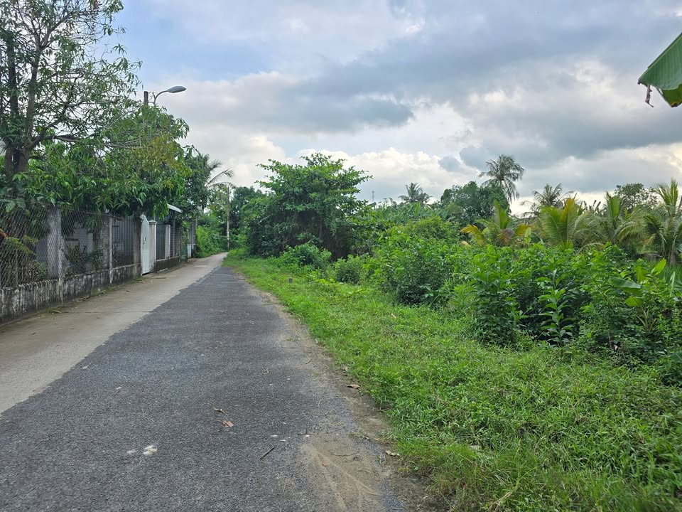 Đất nền Trà Vinh 185m² giá 1.3 tỷ - Vị trí trung tâm không thể bỏ qua!