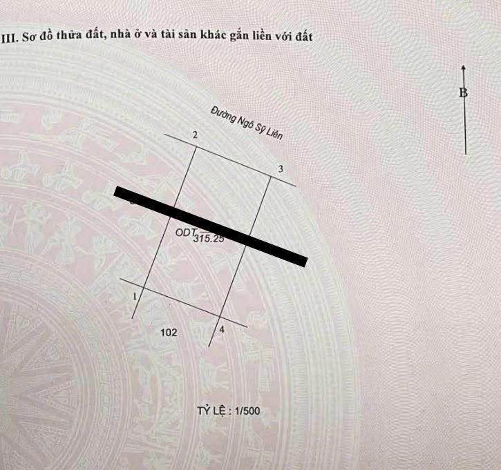 Nhà mặt đường Ngô Sỹ Liên, Nam Định 315m² giá 23 tỷ - Kinh doanh thuận lợi!