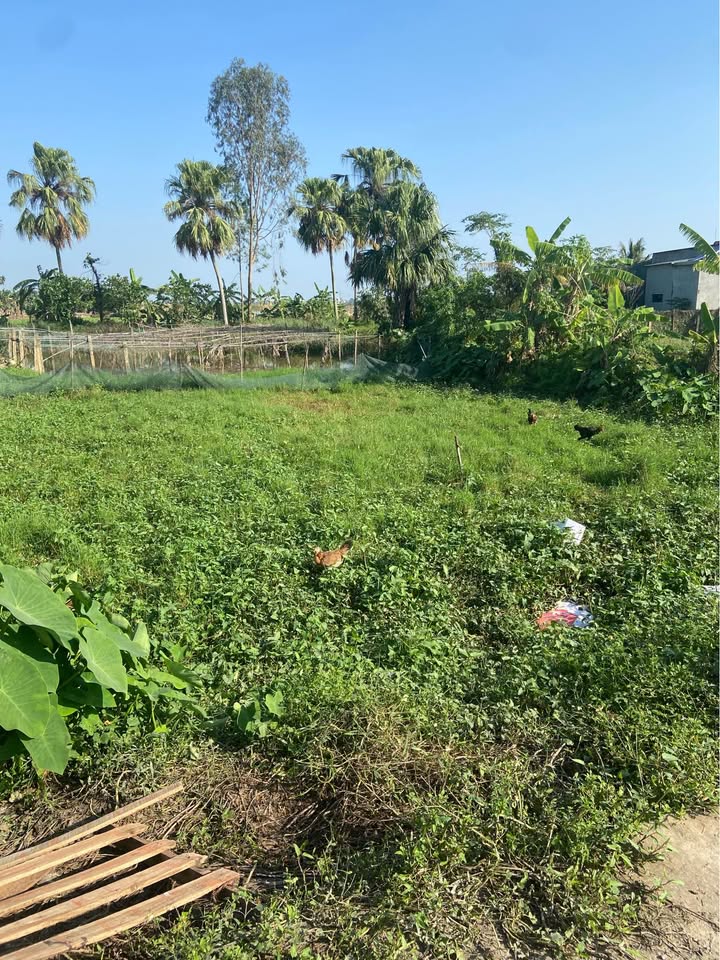 Đất nền Quảng Định 87m² giá chỉ 630 triệu - Đầu tư ngay hôm nay!