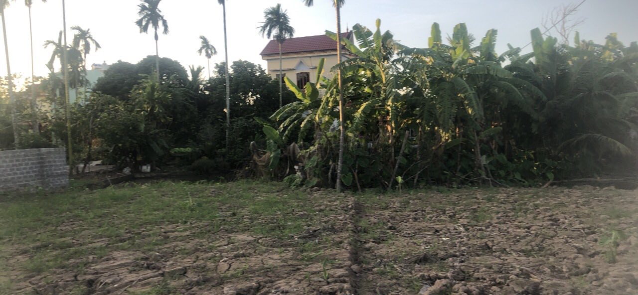 Đất nền thổ cư 500m² tại Văn Tố, Tứ Kỳ - Vị trí chiến lược gần KCN!