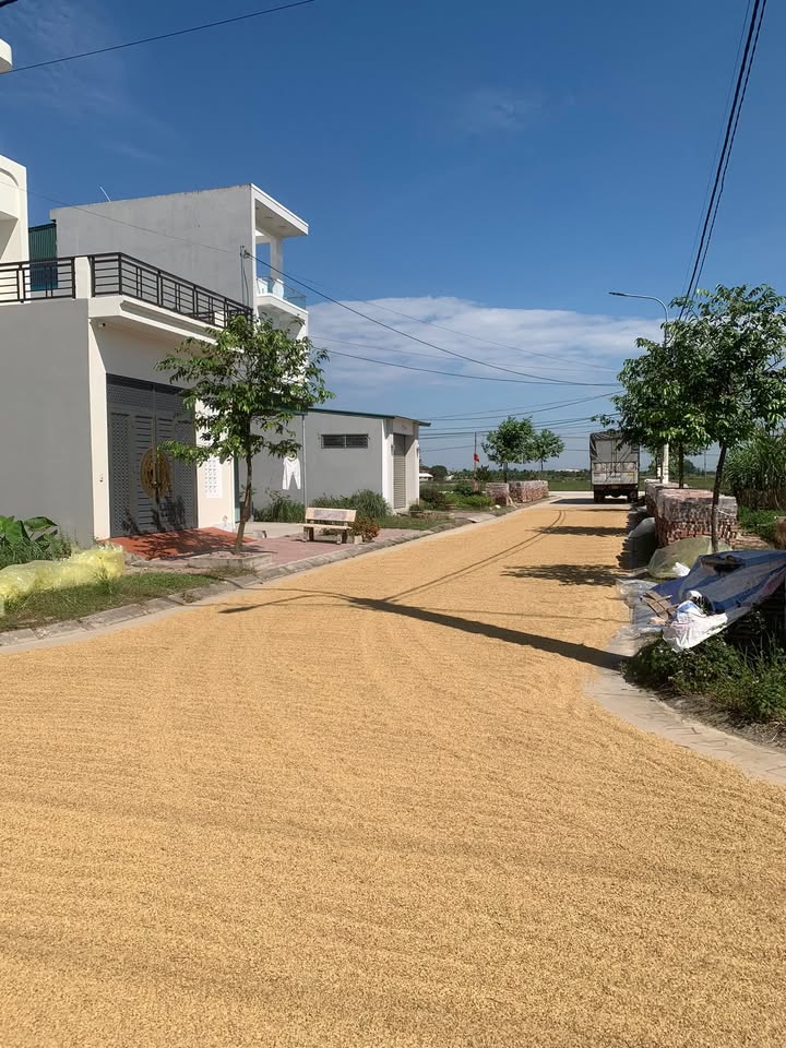 Đất nền khu dân cư mới Minh Đức, Tứ Kỳ 125m² chỉ 1 tỷ - Cơ hội đầu tư không thể bỏ qua!