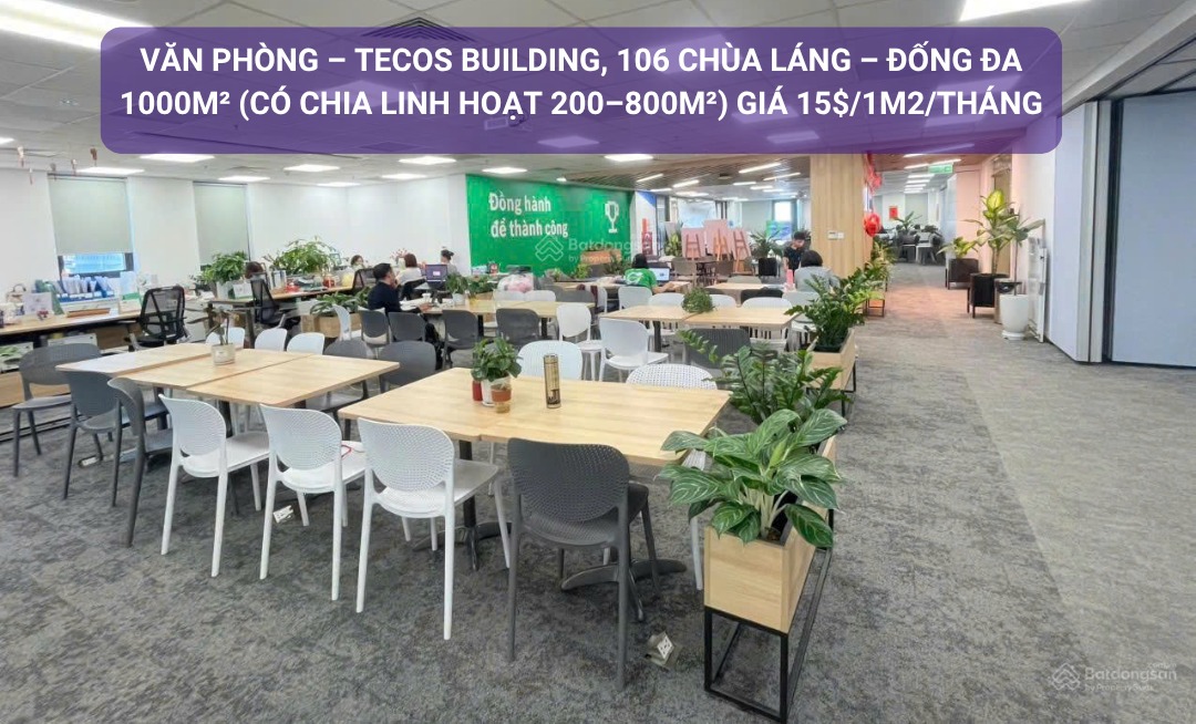 Cho thuê văn phòng cao cấp Tecos Building Đống Đa 1000m² - Vị trí đắc địa, thiết kế hiện đại!
