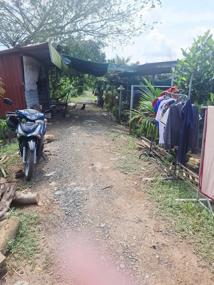 Đất vườn 1620m² tại Tân Hưng, Bình Tân - Giá chỉ 290 triệu VND thương lượng!