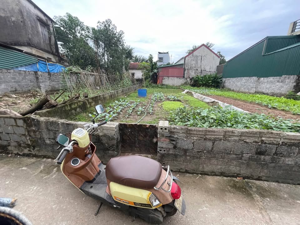 Đất nền chính chủ xã Chương Dương Thường Tín 77.6m² giá 3 tỷ - Đường ô tô vào tận đất!