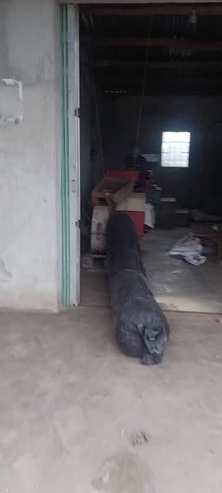 Đất thổ cư 400m² tại Cư Ni Ea Kar 3000m² - Cơ hội đầu tư tuyệt vời!