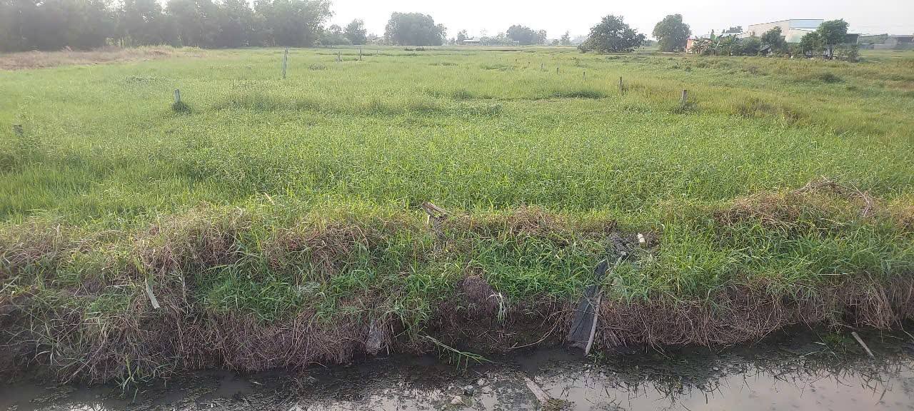 Đất nền Đức Lập Hạ 1350m² giá 6.5 tỷ - Sổ hồng chính chủ, vị trí đắc địa!