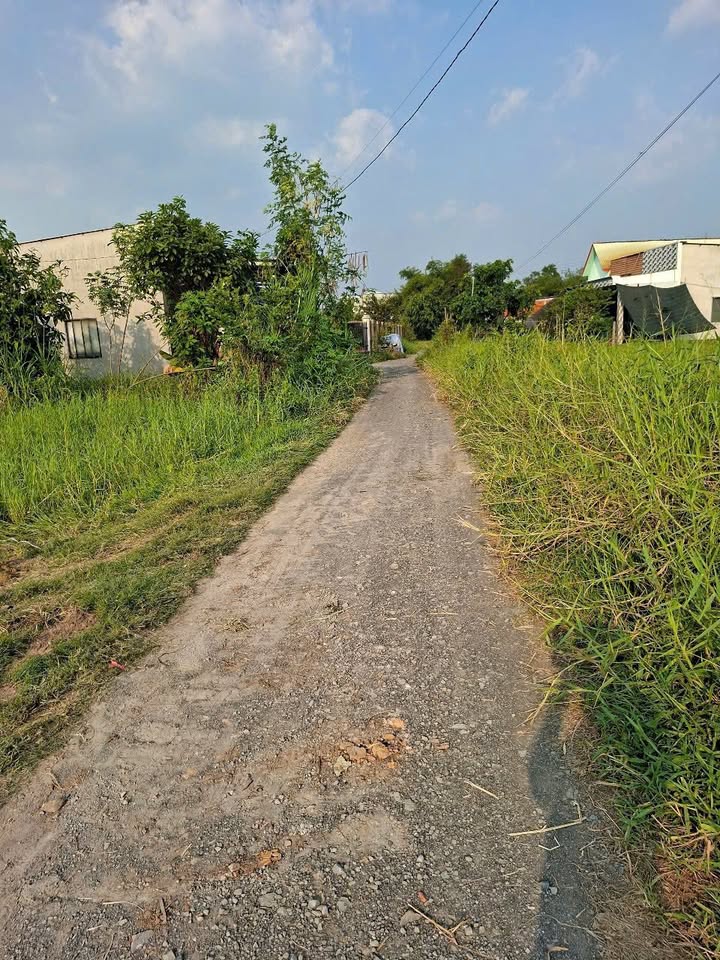 Đất thổ cư 210m² tại Hậu Nghĩa, giá chỉ 800 triệu - Cơ hội đầu tư tuyệt vời!