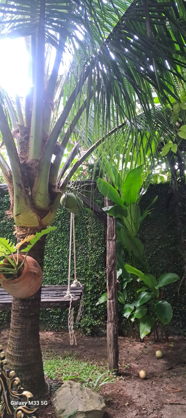 Đất nền Cửa Dương 7000m² giá 3.5 tỷ - Sổ hồng riêng, thổ cư 400m²