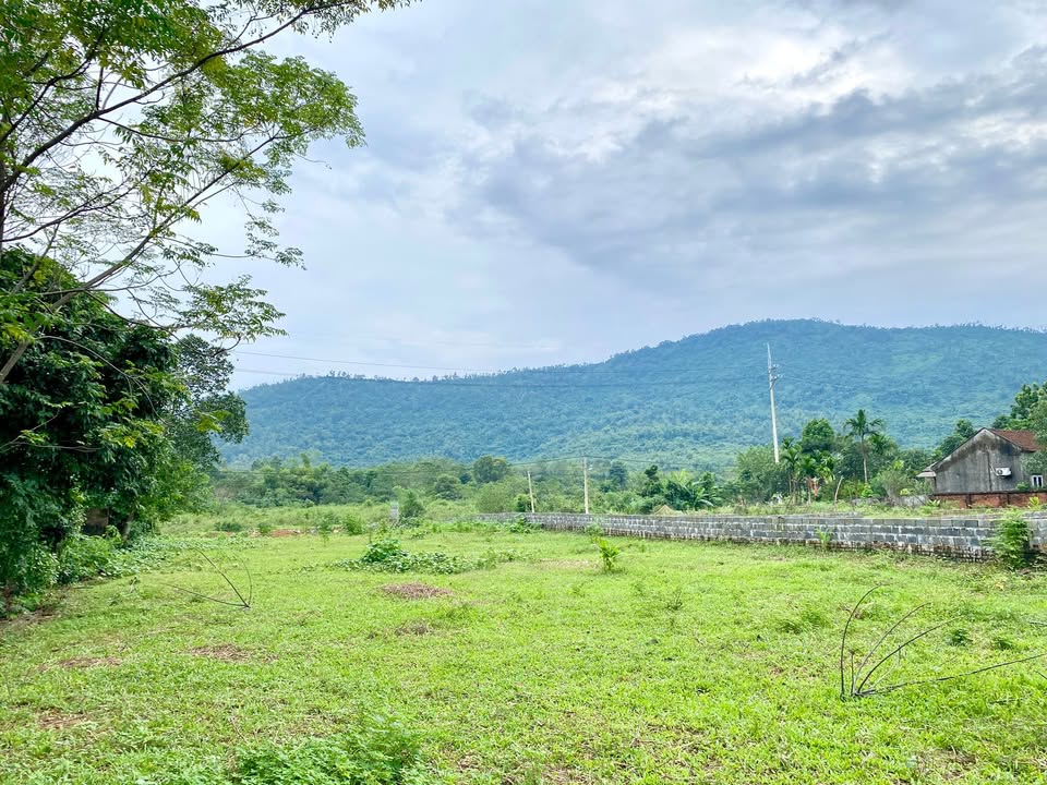 Đất thổ cư 1156m² tại xã Phú Cát, Quốc Oai - Pháp lý rõ ràng, giá thỏa thuận!