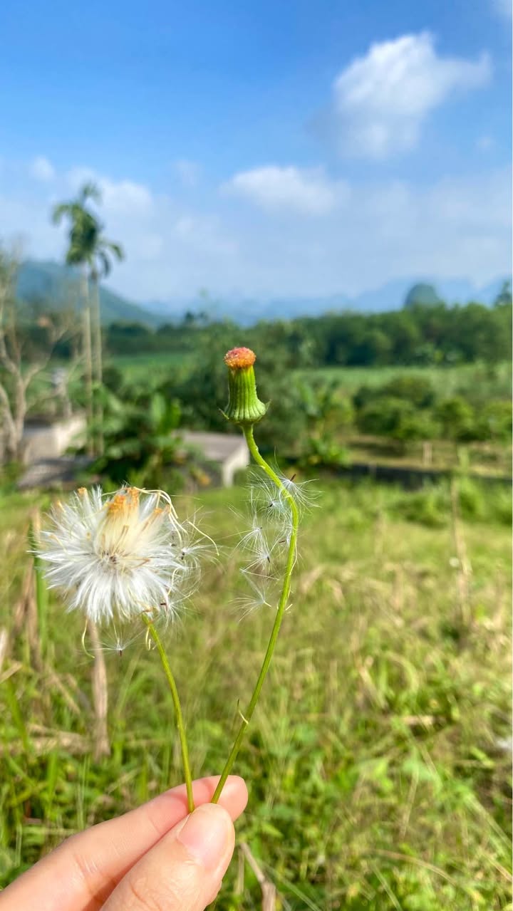 Đất Vĩnh Tiến, Kim Bôi 1200m² giá 1 tỷ - Đầu tư sinh lời ngay!