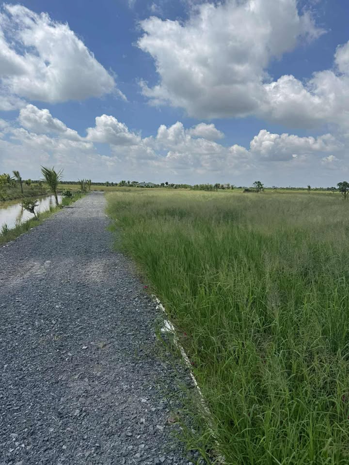 Đất nền Gia Thuận 500m² giá chỉ 430 triệu - Cơ hội đầu tư tuyệt vời!