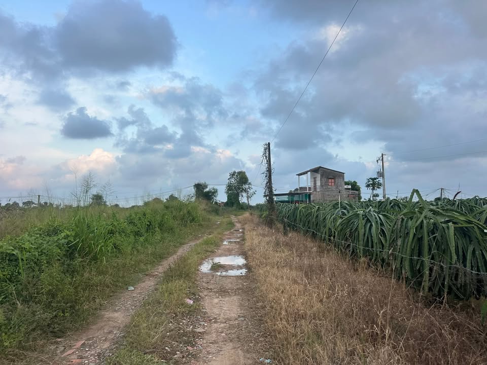 Đất vườn 2495m² tại LaGi Bình Thuận - Giá chỉ 3.85 tỷ, đầu tư sinh lời!