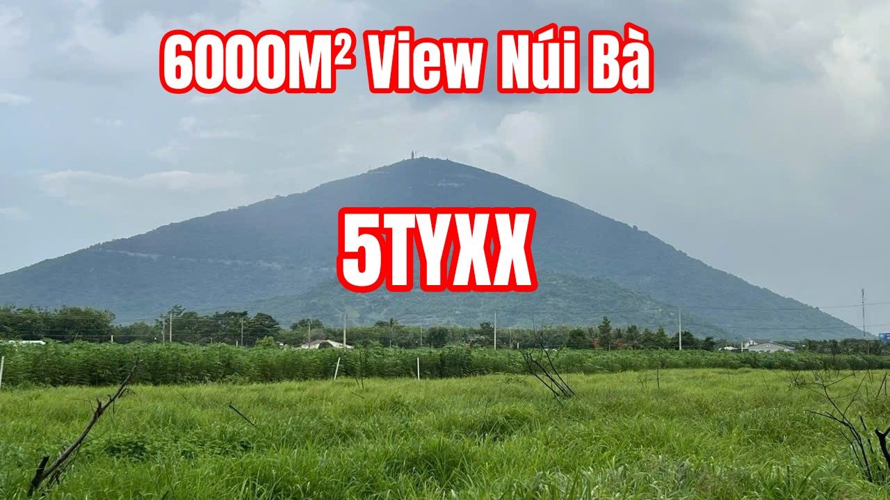 Đất nền 6000m² view Núi Bà, xã Tân Bình, Tây Ninh - Giá 5.8 tỷ, đầu tư sinh lời!